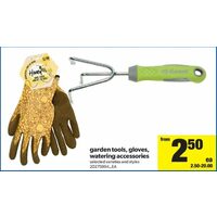 Garden Tools, Gloves, Watering Accessories