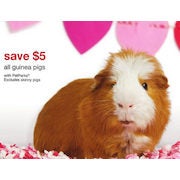 All Guinea Pigs - $5.00 off