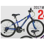nakamura 24 inch bike