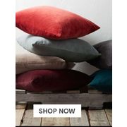 Decorative Pillows - BOGO 50% off