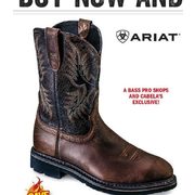 ariat men's sahara boots