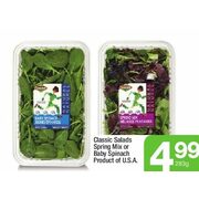 Classic Salads Spring Mix Or Baby Spinach - $4.99
