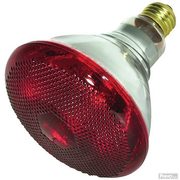 Canarm Heat Lamp Bulb - $7.99 (50% off)