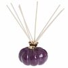 White Pumpkin Reed Diffuser In Purple - $6.59 ($4.40 Off)