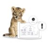 Telus: Save Up to $22/Month on SmartHome Security Plans